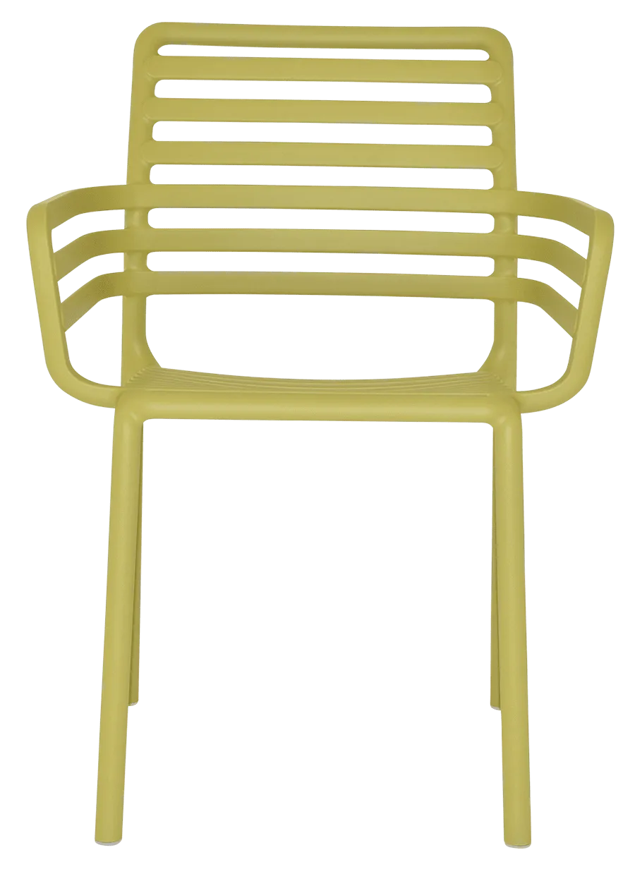Arm Chair Doga